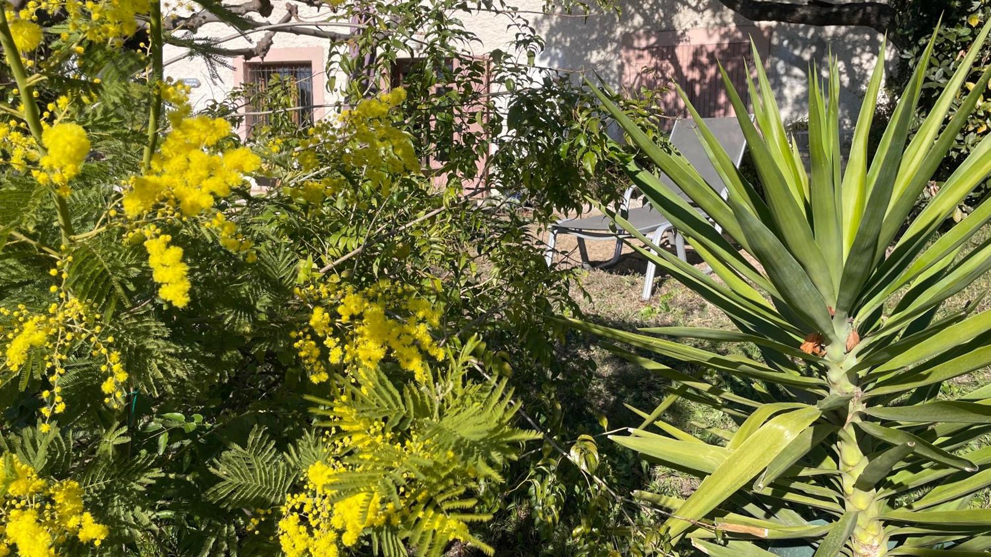 Large Private Garden, Quiet 2-Bedroom Apartment, Air Conditioning, Wifi, Parking 卡西斯 外观 照片